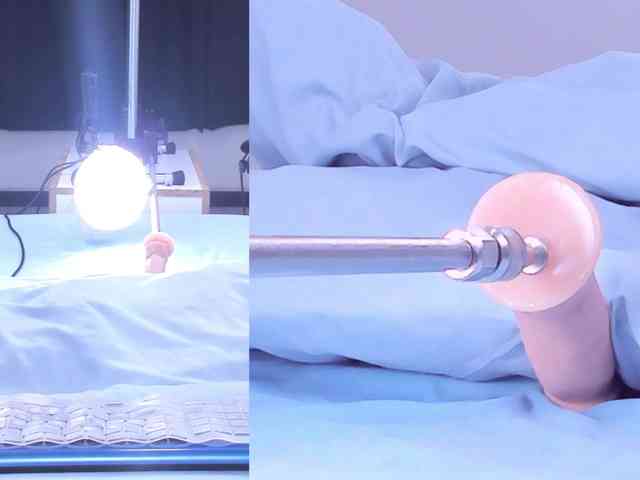 Katee-campbell webcam