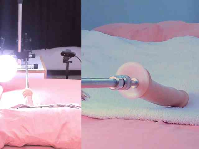 Katee-campbell webcam