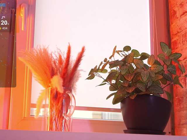 favdream from BongaCams is Freechat