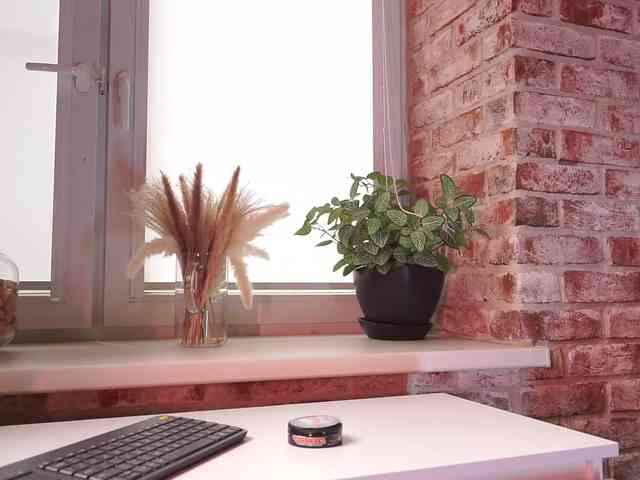 favdream webcam