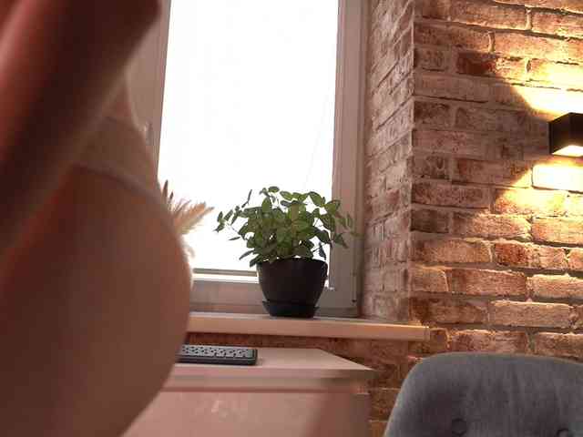 favdream webcam