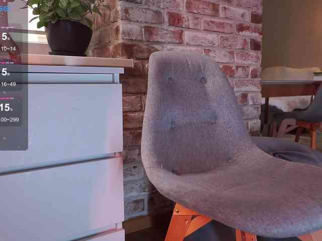 favdream webcam