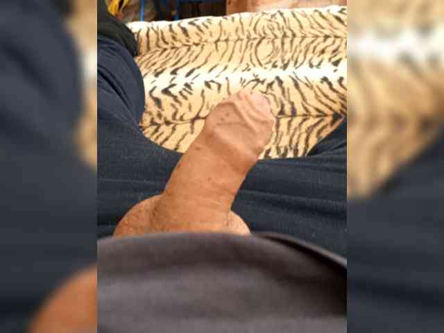 niknik841 Live Webcam on BongaCams