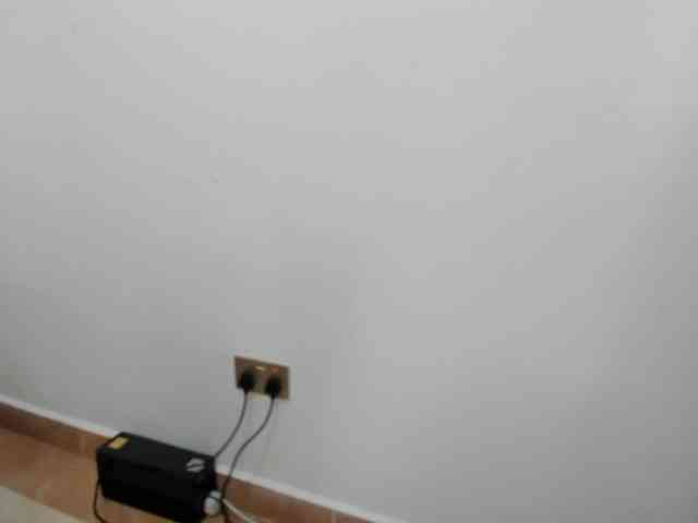 Busty-Bree webcam