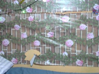 HasMinah92 Porn Show