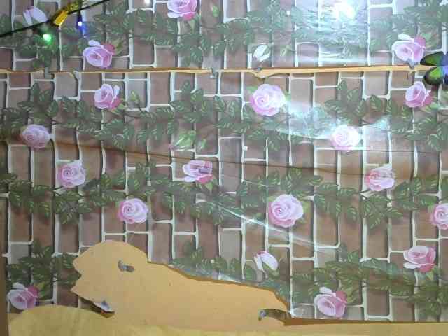 HasMinah92 HasMinah92