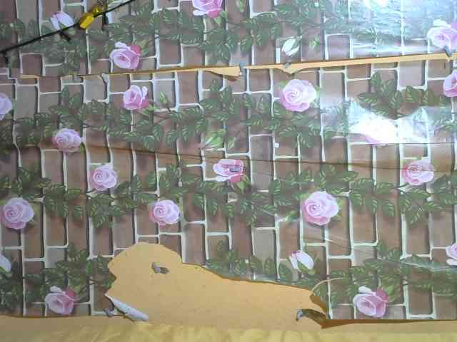 HasMinah92 HasMinah92