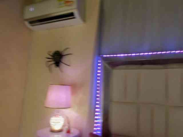 LunaBlazze LunaBlazze