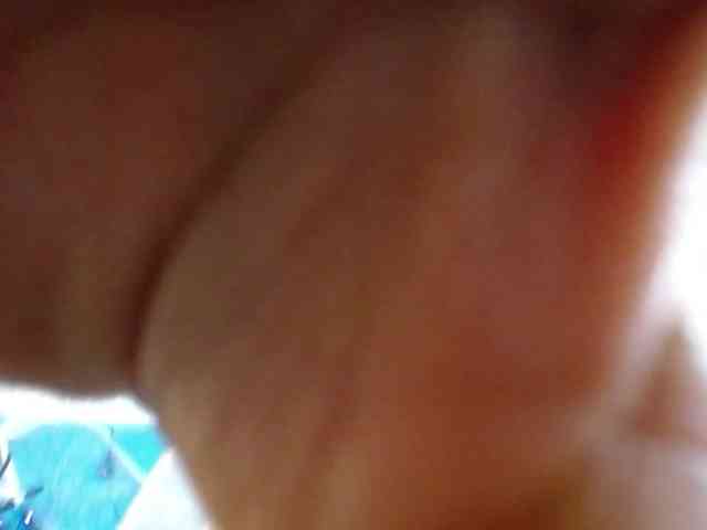 sheilapacheco sheilapacheco