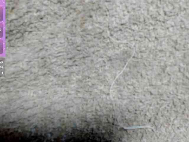 adhara-hotter Live Webcam on BongaCams