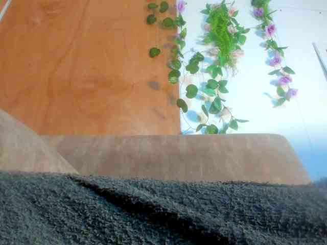 adhara-hotter Live Webcam on BongaCams