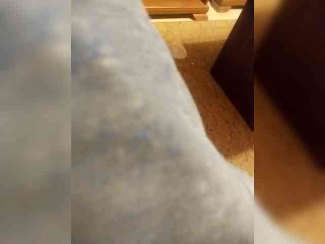 dilondemelo dilondemelo