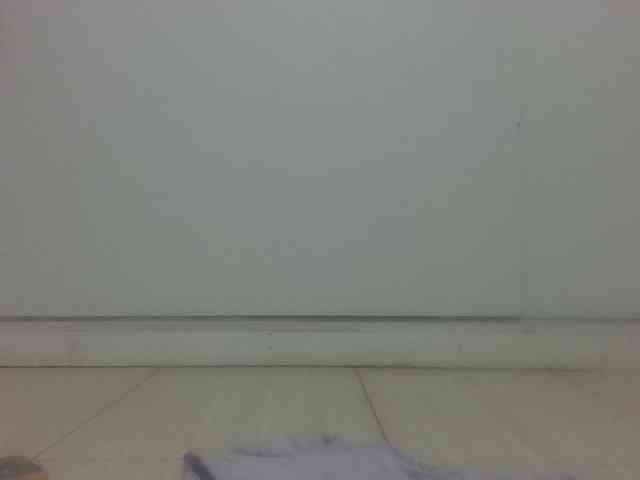 Littlekiki webcam