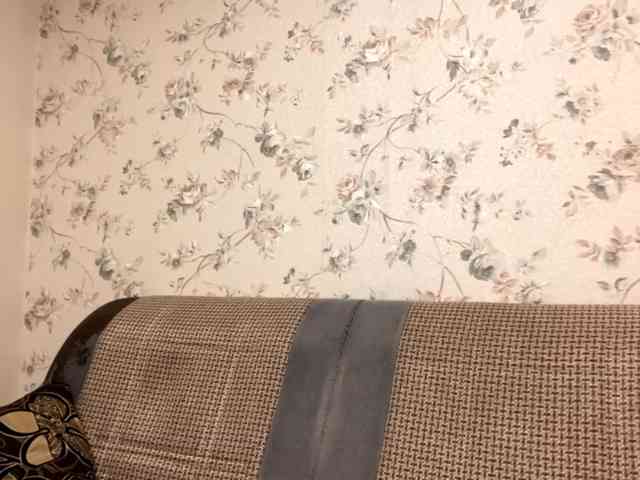 AnalisaDimick webcam