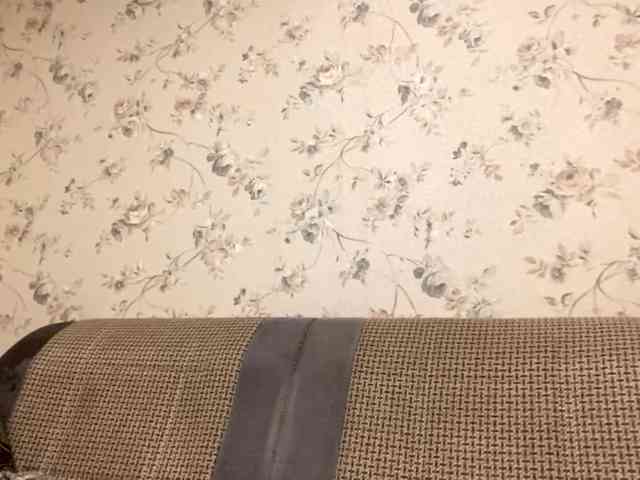 AnalisaDimick webcam