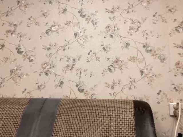 AnalisaDimick webcam