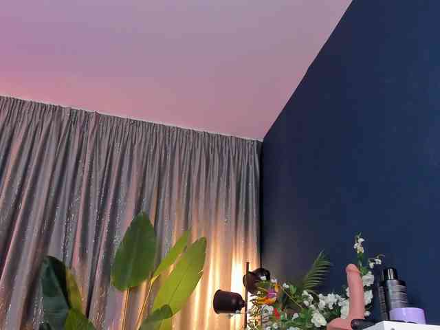 BubbleHeat webcam