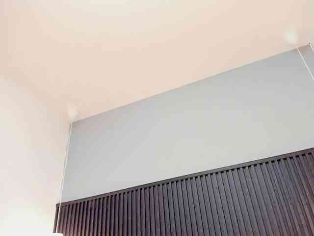 NashaReeve NashaReeve