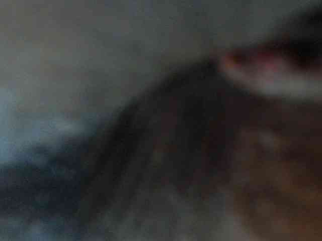 bitch-naughty webcam