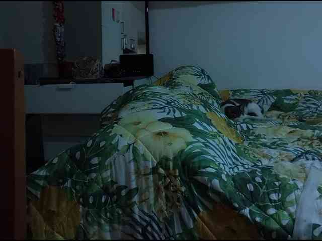 Eroticamente