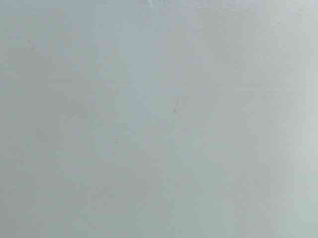 SavageLover- SavageLover-