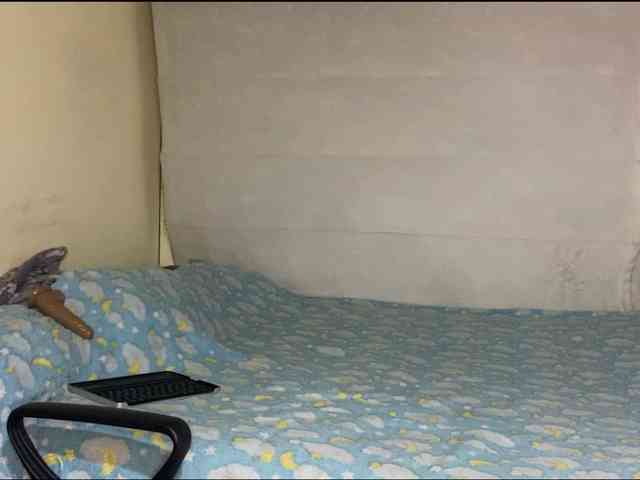 valeywilli webcam
