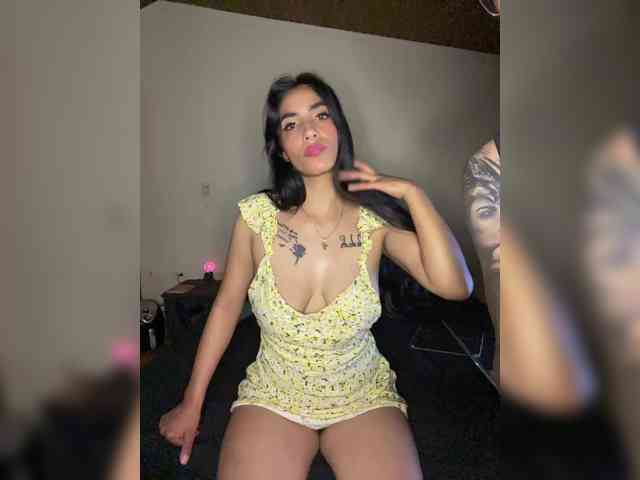 valeywilli webcam