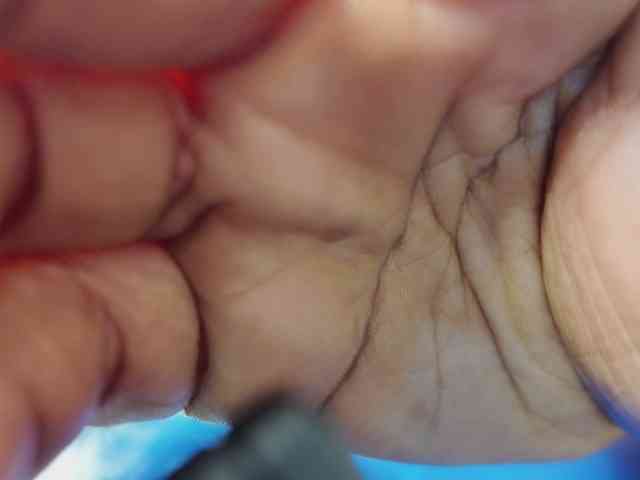 Creamyposh webcam