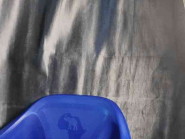 Creamyposh webcam