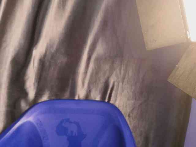 Creamyposh webcam