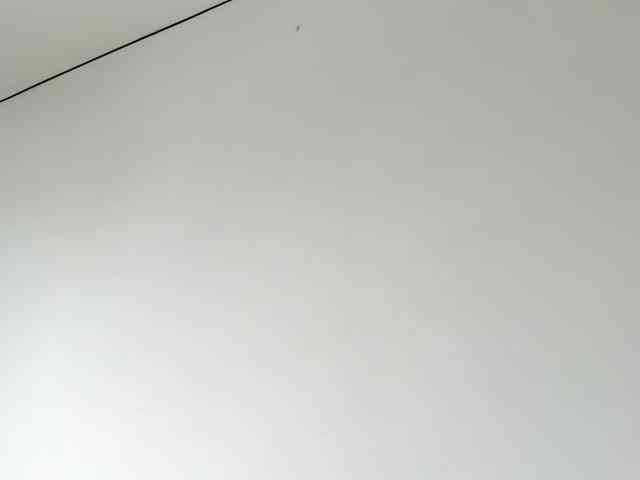 Tammymodell webcam