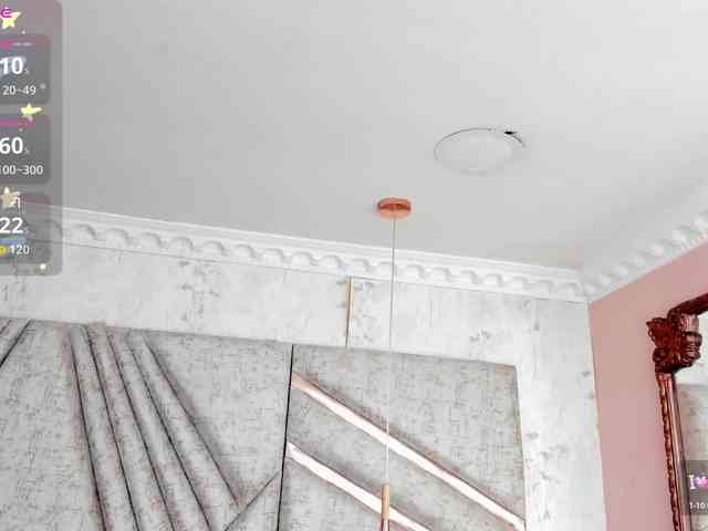 RousseWalker webcam