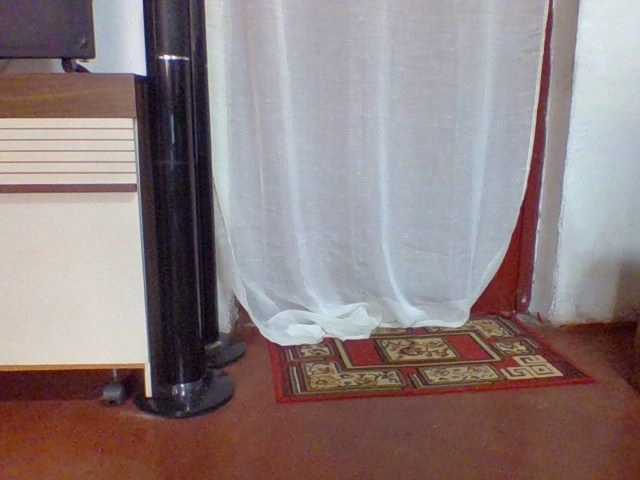 arline52 – webcam model profile photo