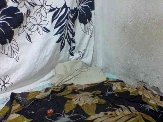 arline52 webcam