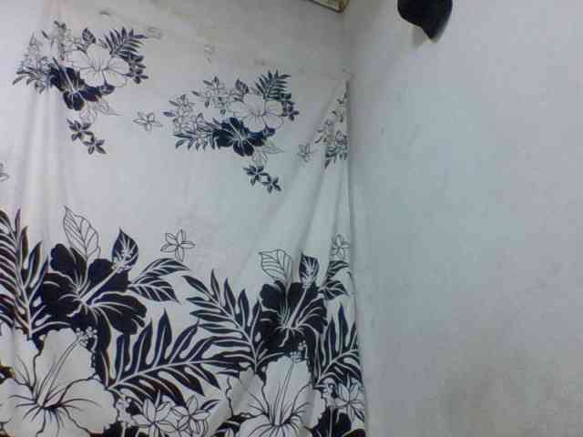 arline52 webcam