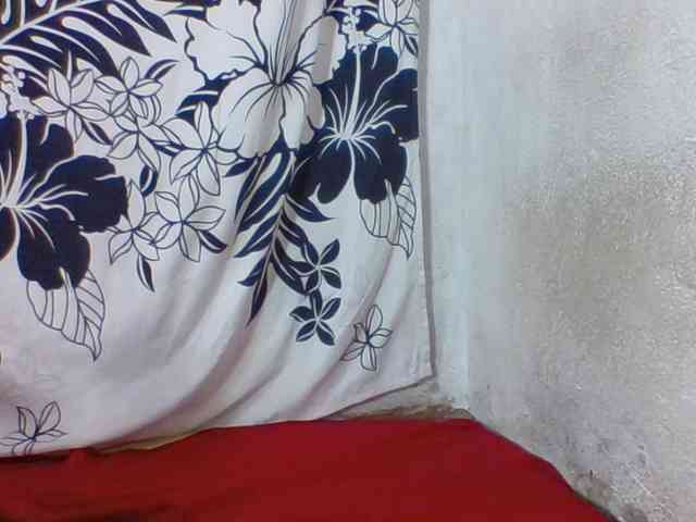 arline52 webcam