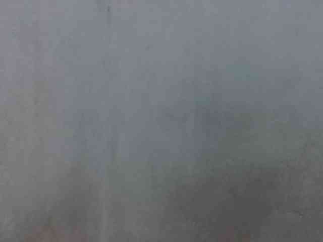 arline52 Live Webcam on BongaCams