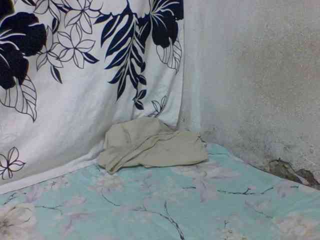 arline52 webcam