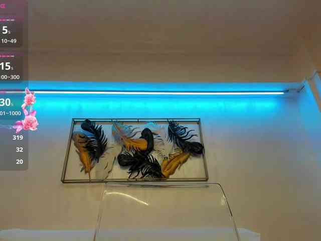 VikaFever webcam