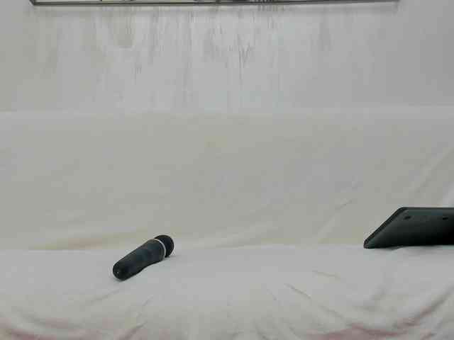 VikaFever webcam
