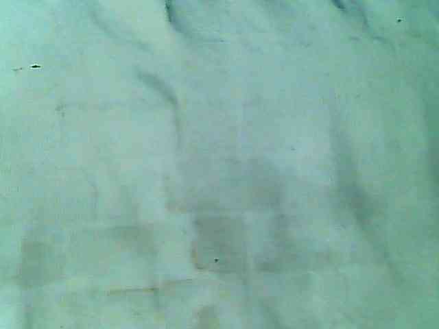 Anic7 webcam