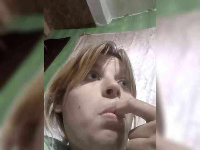 OLHA-3 webcam