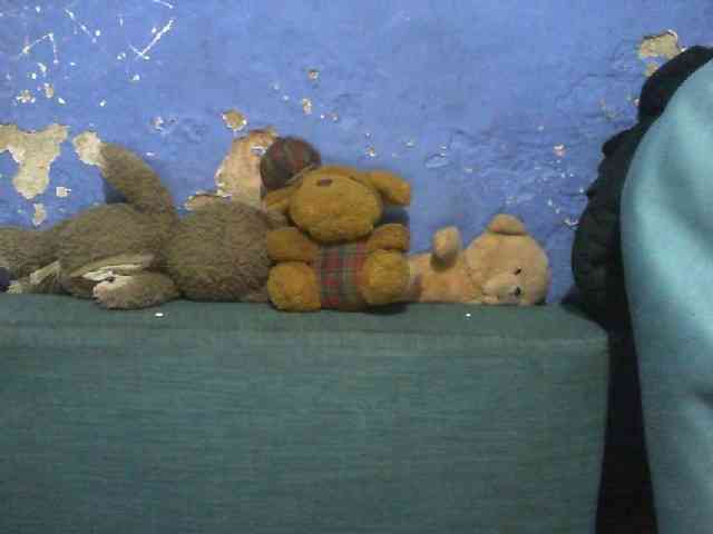 Mumul webcam