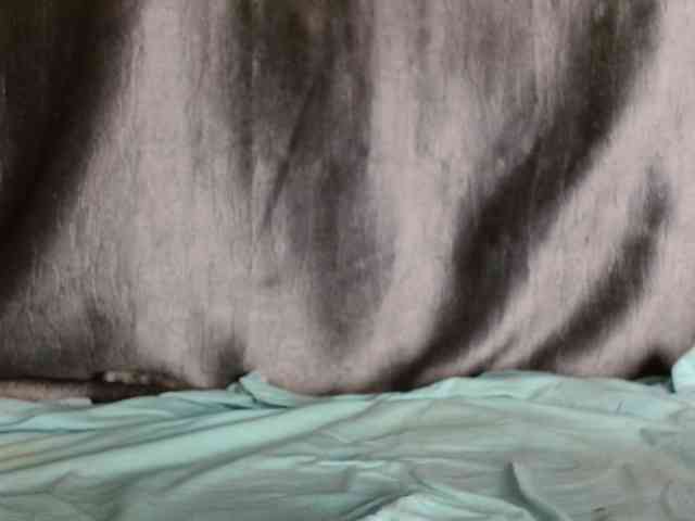 Sweetpussy135 webcam