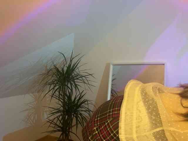 Sophien webcam