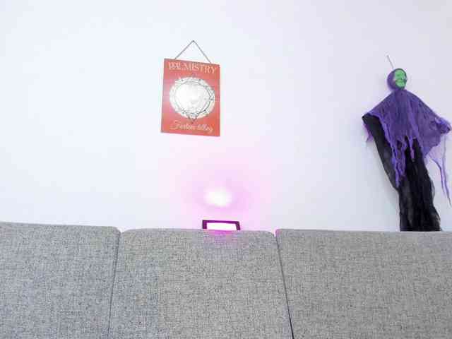 Misaki-Kai webcam