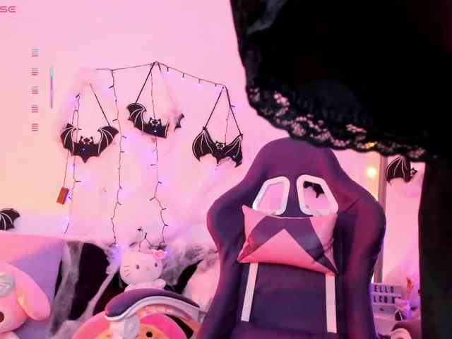 Nikymonet webcam