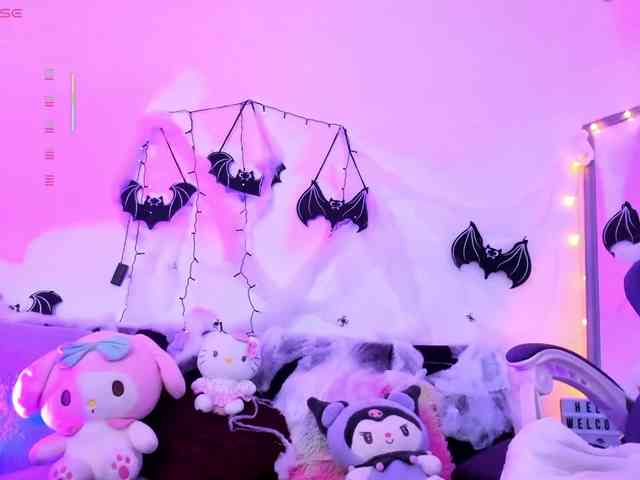 Nikymonet webcam