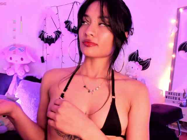 Nikymonet webcam