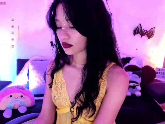 Nikymonet webcam